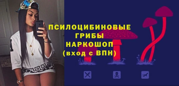 гашик Балахна