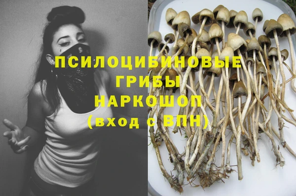 эйфоретик Аркадак